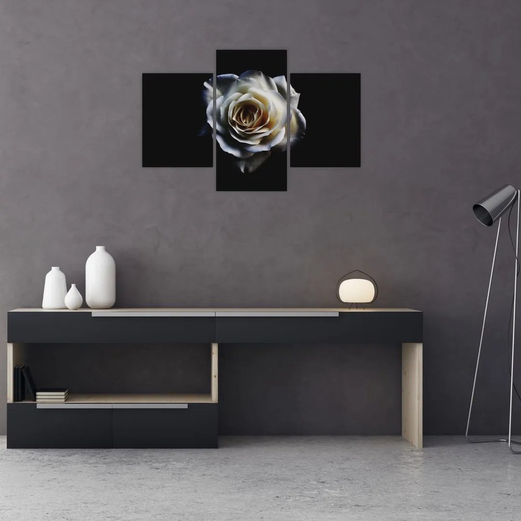 Tablou cu trandafir alb (90x60 cm)