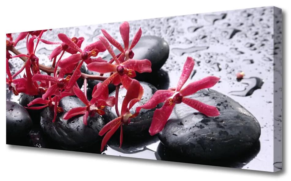 Tablou pe panza canvas Pietrele de flori Arta Negru Roșu