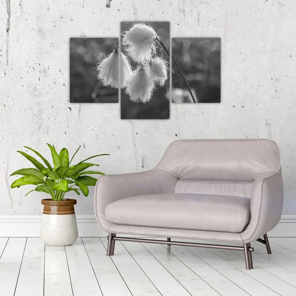 Tablou - Iarba de bumbac (90x60 cm)