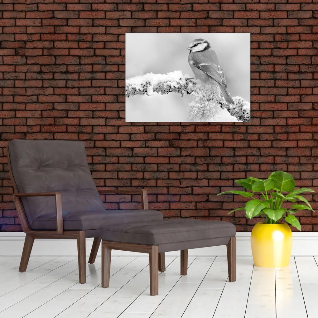 Tablou pe sticlă - O pasăre pe o creangă (70x50 cm)