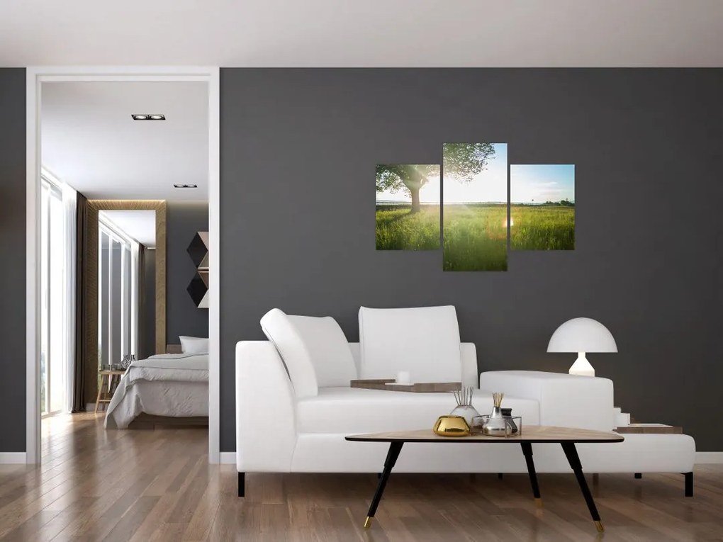 Tablou cu lunca în vară (90x60 cm)