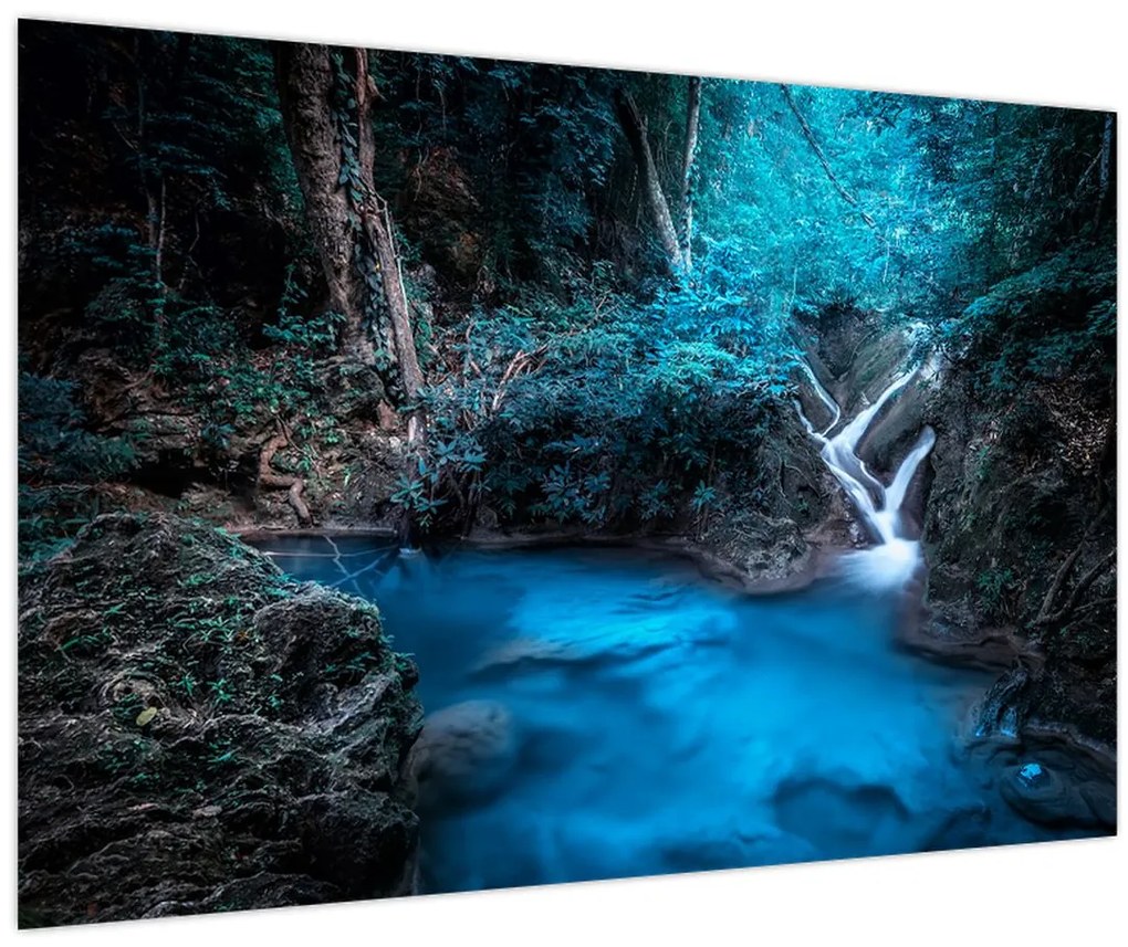 Tablou - Noaptea magică în pădurea tropicală (90x60 cm)