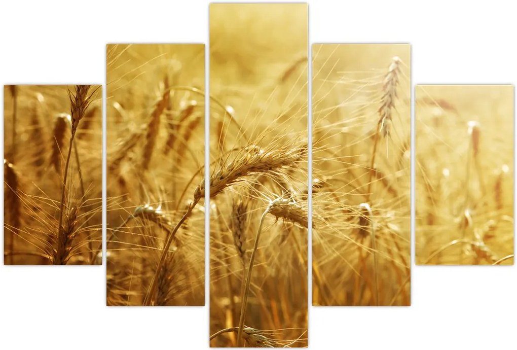 Tablou - Spice de cereale (150x105 cm)