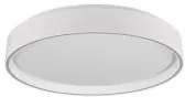 Plafoniera moderna led 24W Felis R64391031 Trio