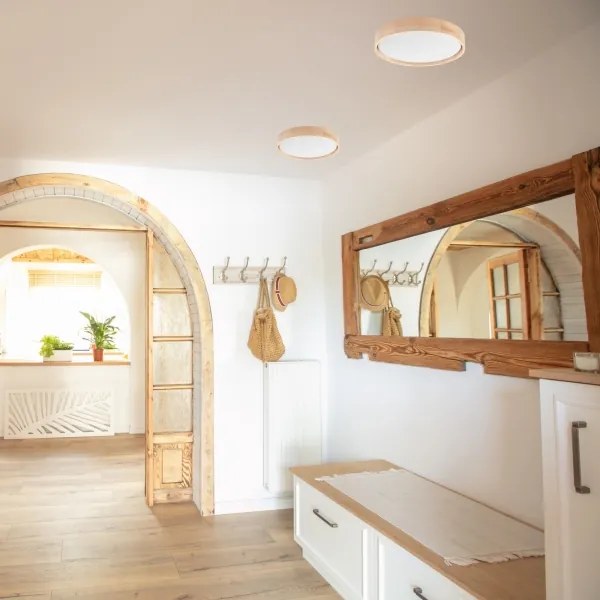 Brilagi - Plafonier MANAROLA SMART LED 24W 230V cu telecomandă Tuya