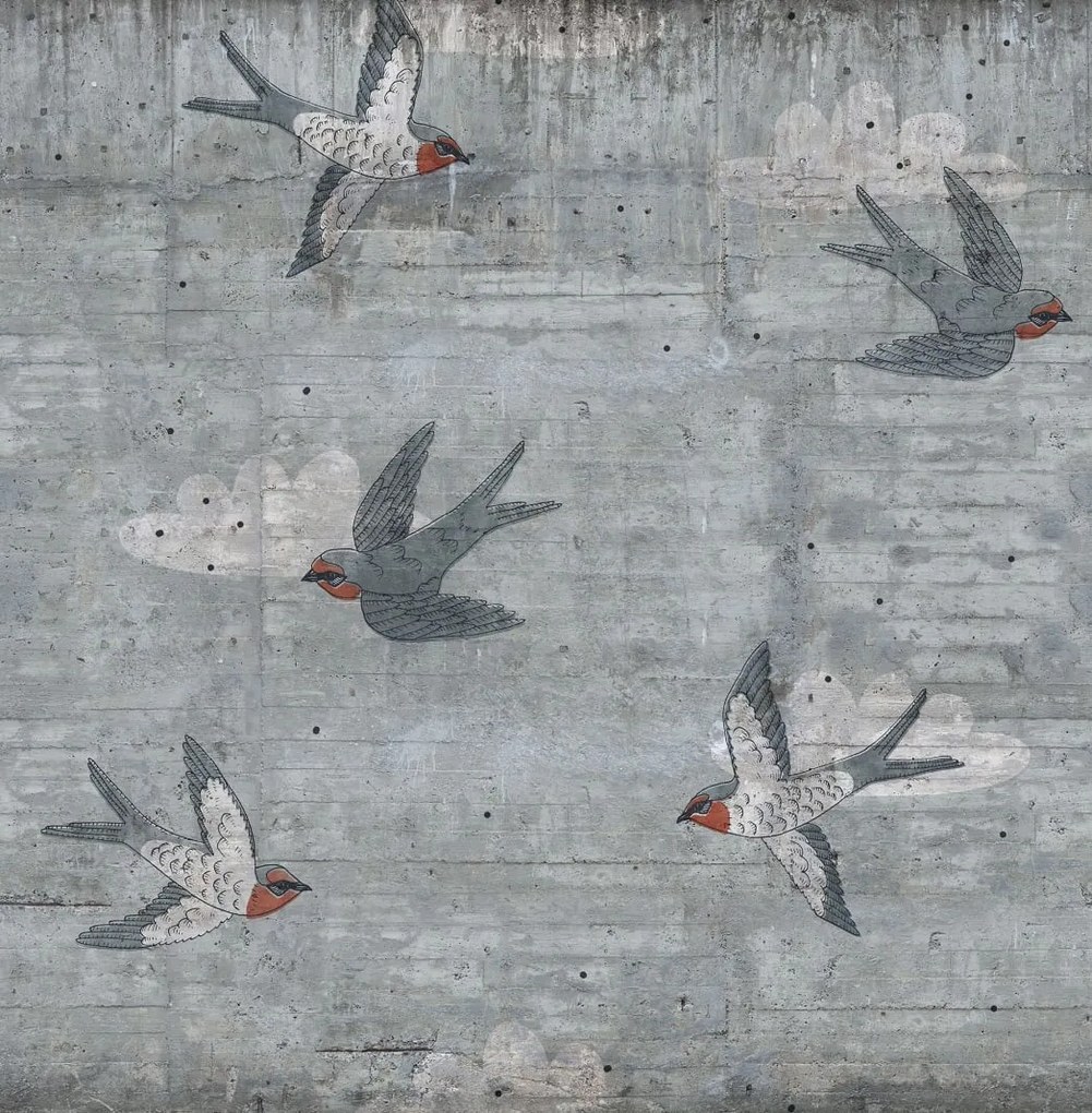 Fototapet, Concrete Art, Swallow, Rebel Walls