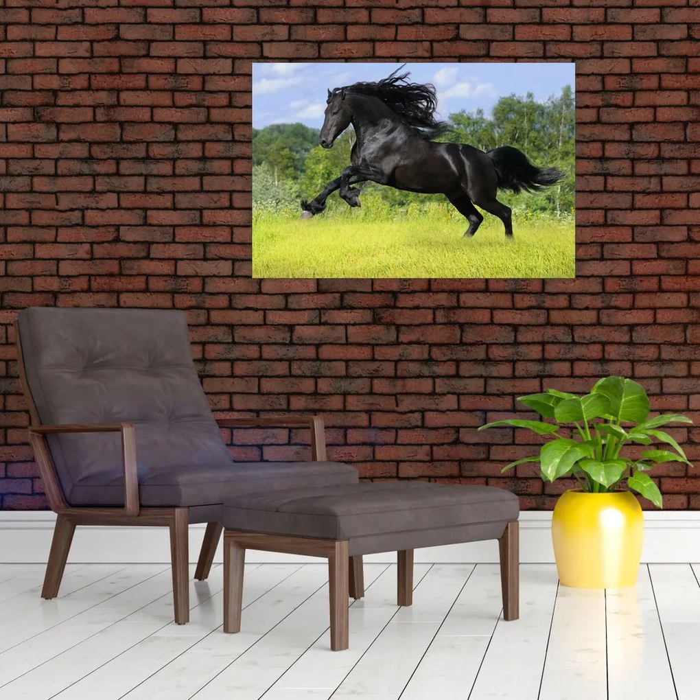 Tablou - Cal cu o coamă curgătoare (90x60 cm)