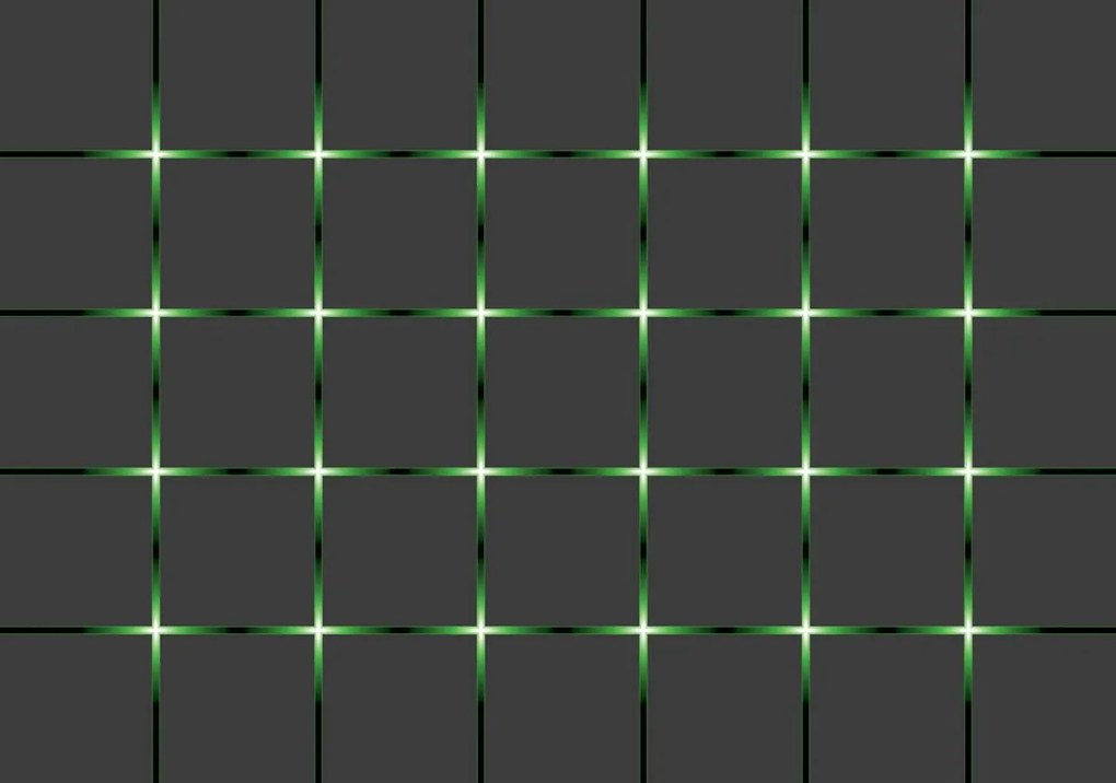 Fototapet - Gratii verzi (254x184 cm), în 8 de alte dimensiuni noi