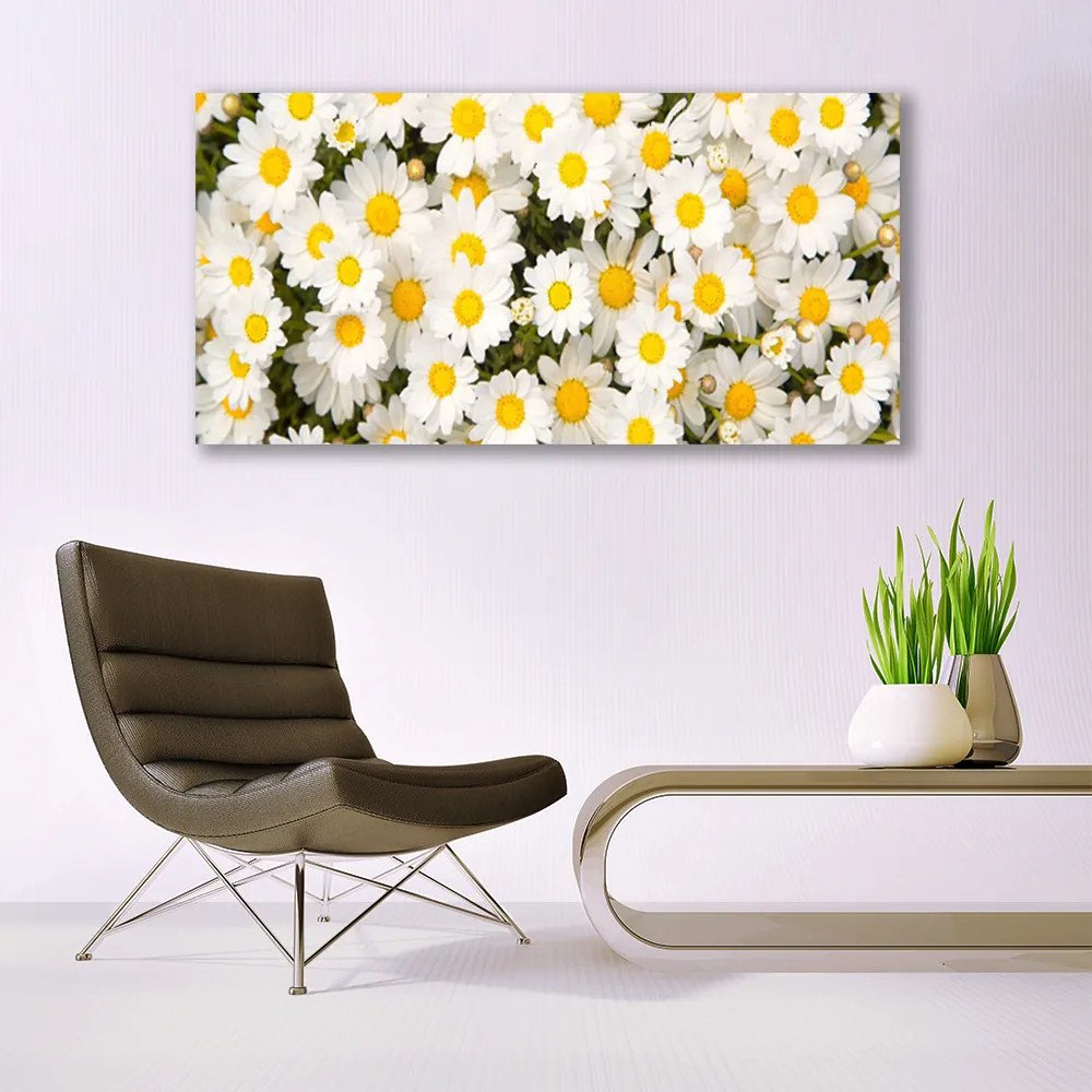 Tablou pe panza canvas Daisy Floral Galben Alb