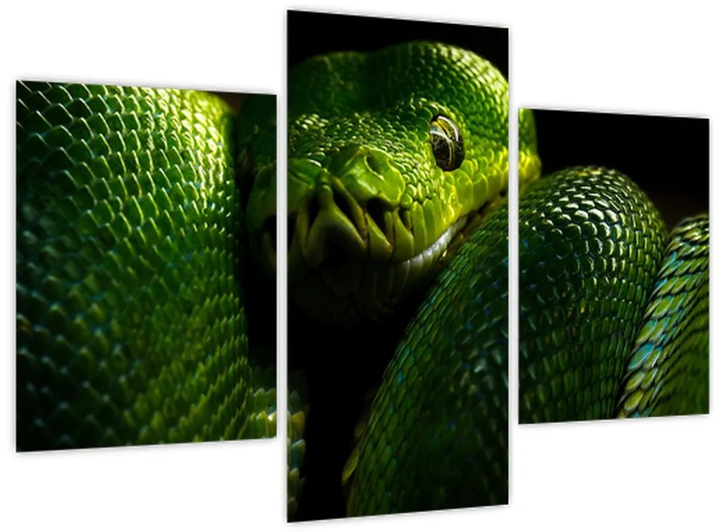 Tablou - Șarpele verde (90x60 cm)