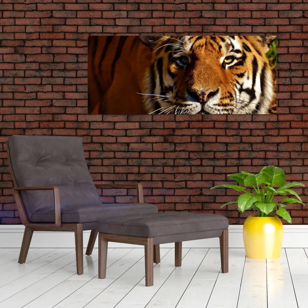 Tablou cu tigrul (120x50 cm)