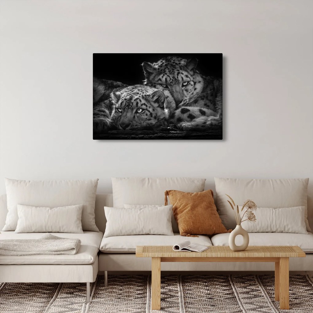 Tablou - Gheparzi care se odihnesc (90x60 cm)