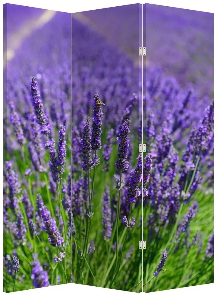 Paravan - Lavanda (126x170 cm)