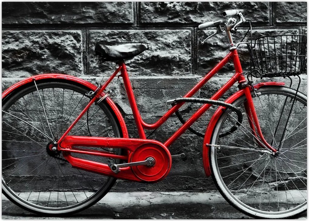 Tablou - Bicicleta istorică (70x50 cm)