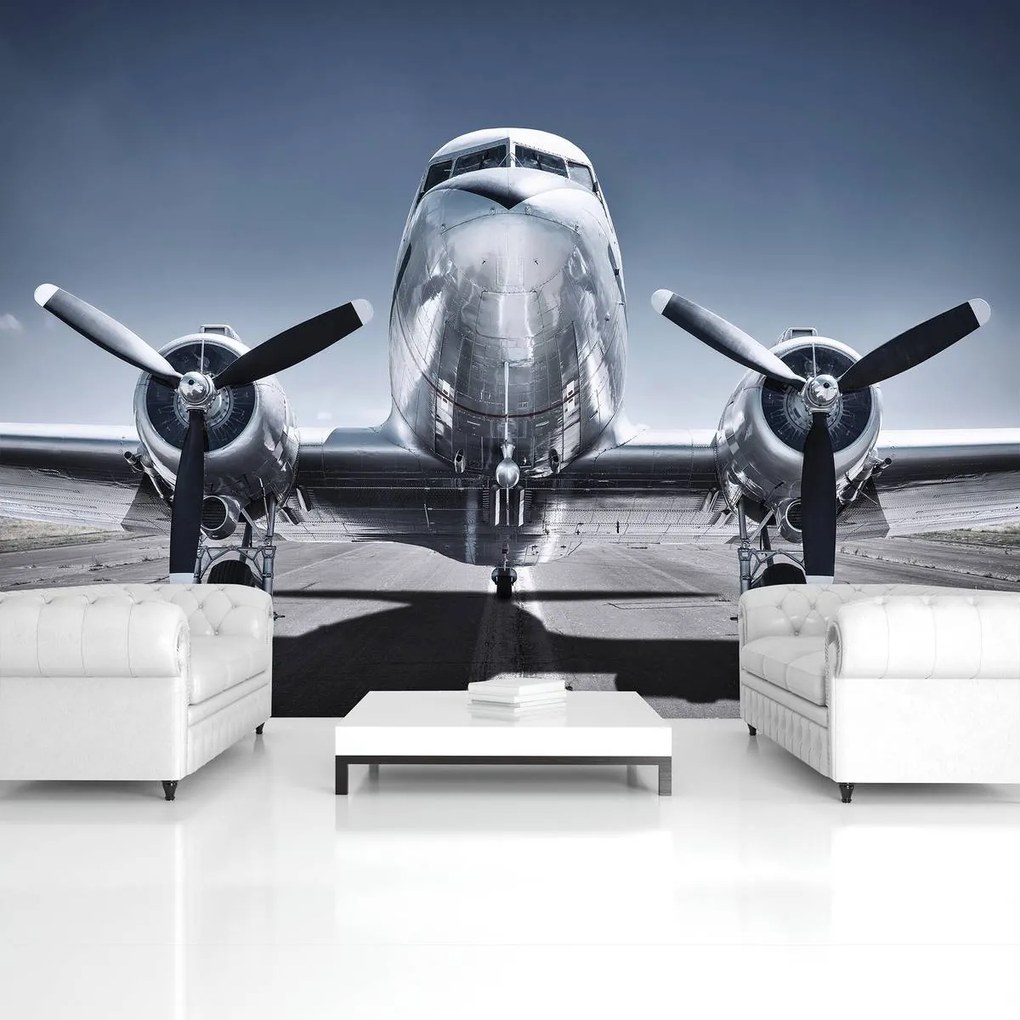 Fototapet - Avion (152,5x104 cm)