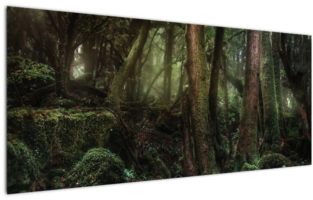 Tablou - Pădurea enigmatică (120x50 cm)
