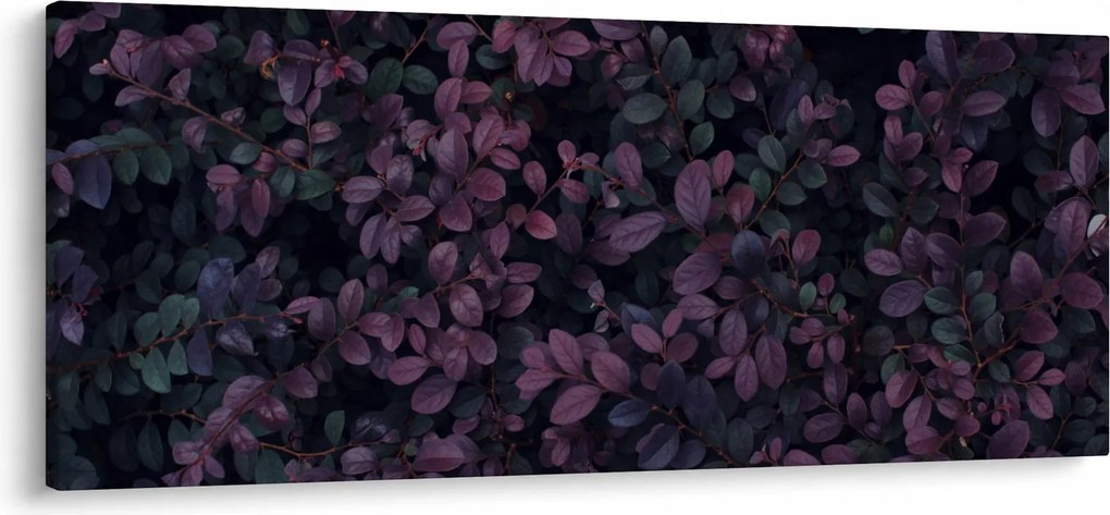 Tabou - Frunze roșu închis (120x50 cm)