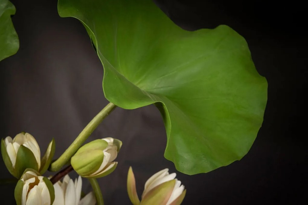 Aranjament floral mare decor festiv design LUX MERCURIO LOTUS H-194cm