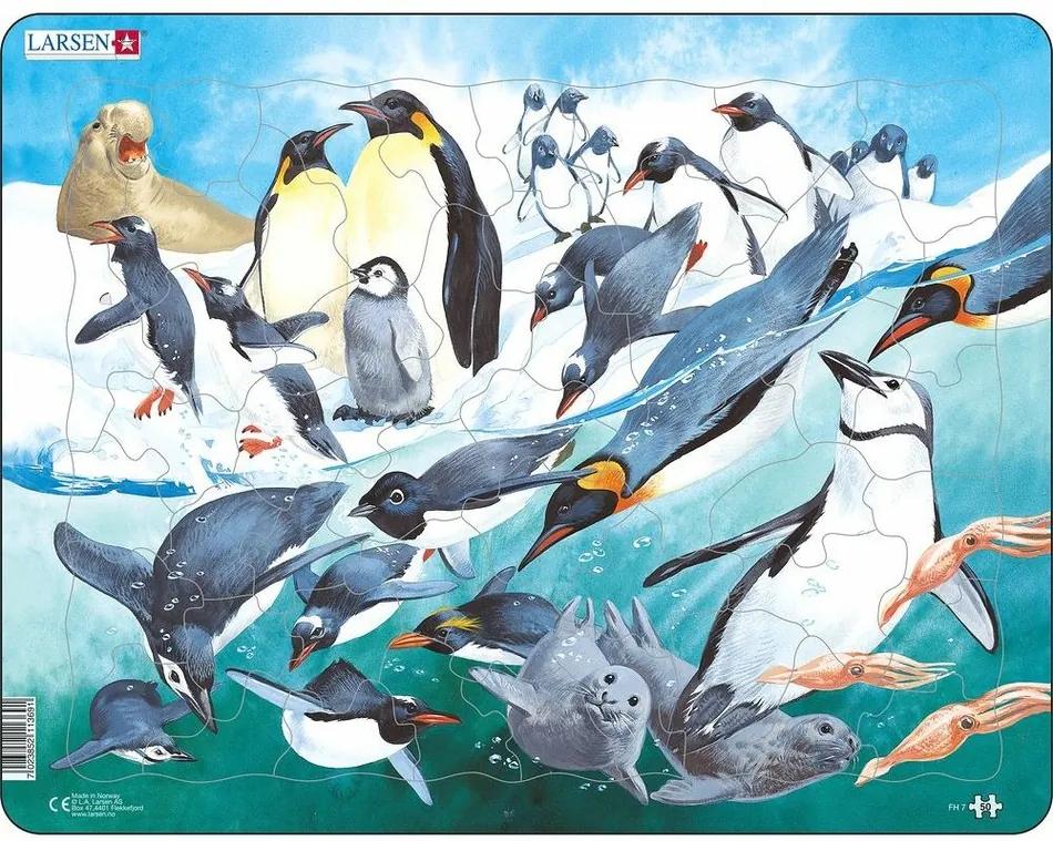 Puzzle Larsen Pinguini, 50 piese