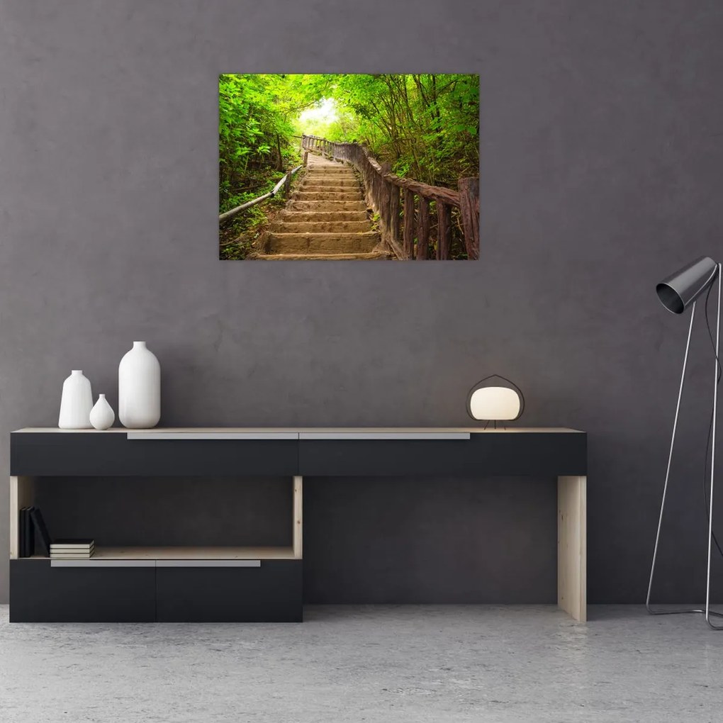 Tablou - Scări în natură (70x50 cm)