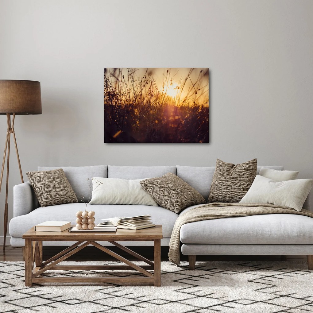 Tablou - Câmp la apus de soare (70x50 cm)