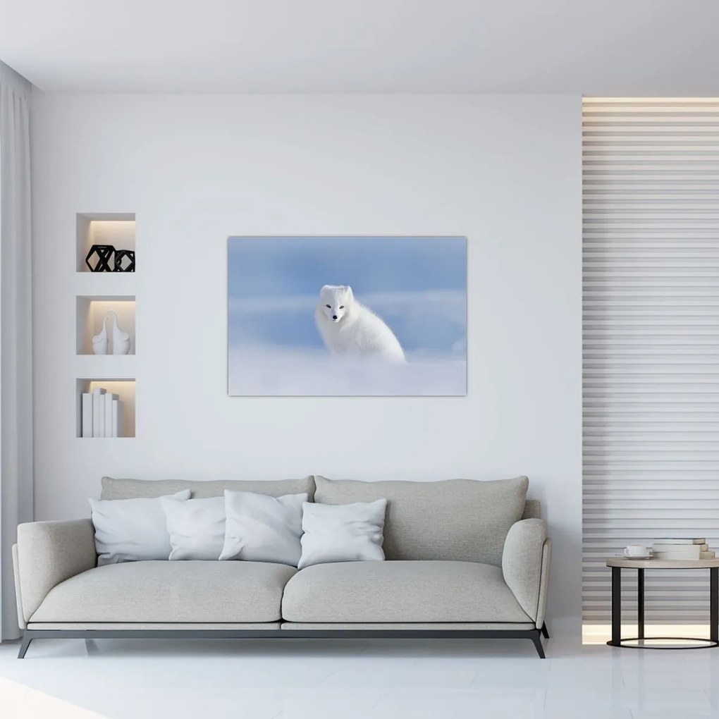 Tablou - Vulpe polară (90x60 cm)