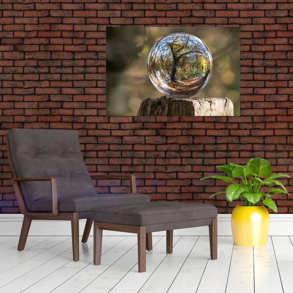Tablou - Reflecție intr-o sferă transparentă (90x60 cm)