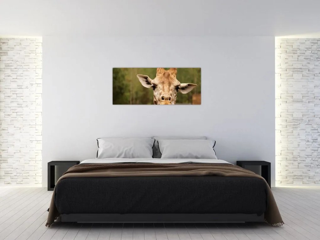 Tablou girafe (120x50 cm)