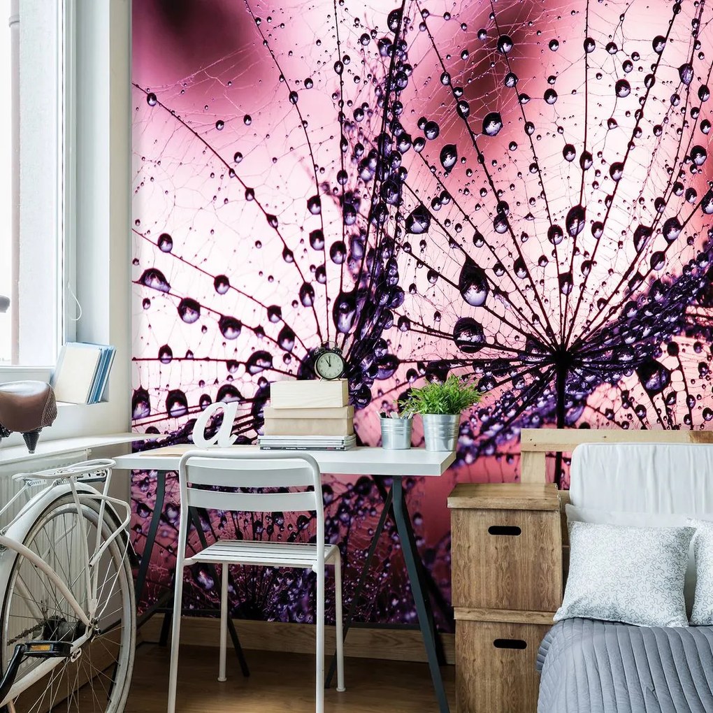 Fototapet - Păpădii - abstracte - violete (152,5x104 cm)