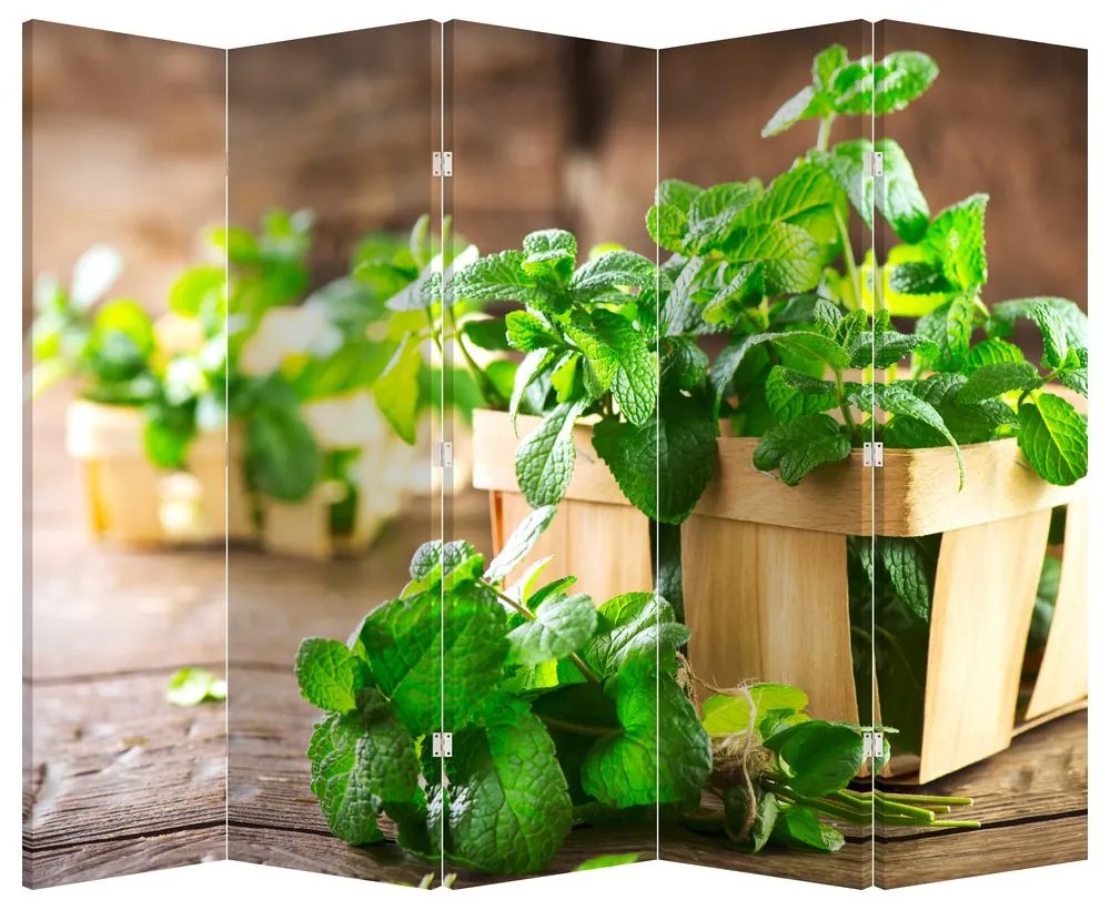Paravan - Menta proaspătă (210x170 cm)