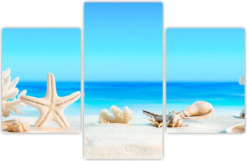 Tablou - Natura morta cu scoici (90x60 cm)