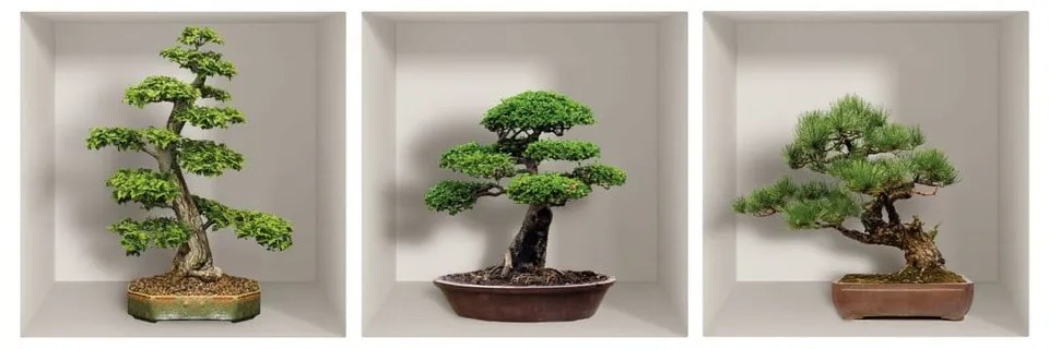 Set 3 autocolante 3D pentru perete Ambiance Bonzais