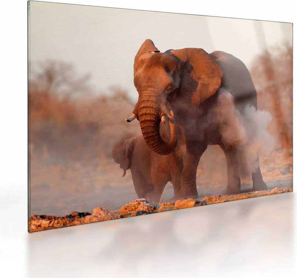 Tablou pe sticlă - Marele elefant african (70x50 cm)