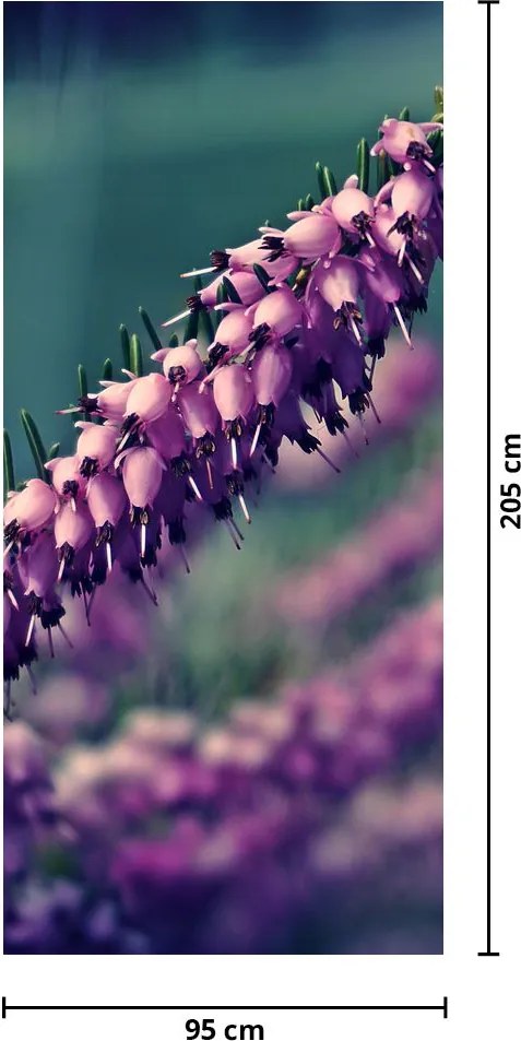 Fototapet pentru ușă - Lavandă (95x205cm)