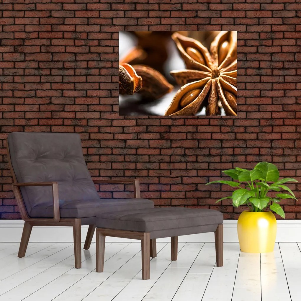 Tablou - Anason (70x50 cm)