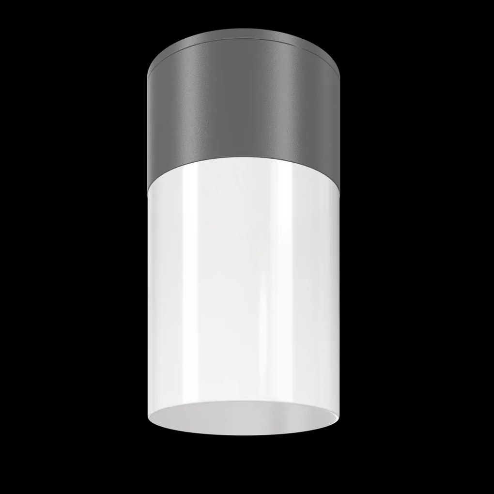 Spot aplicat, plafoniera pentru iluminat exterior IP54 Willis gri