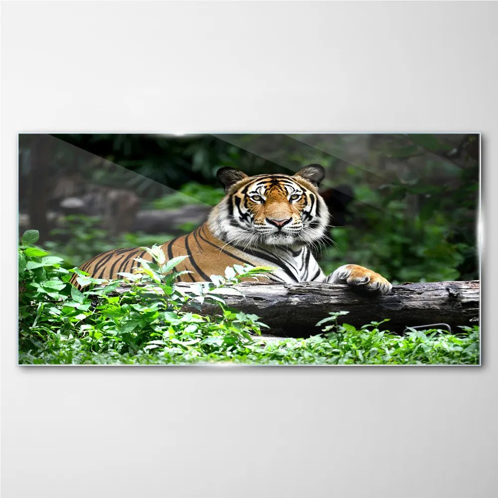 Tablou din sticla Forest Animal Cat Tiger