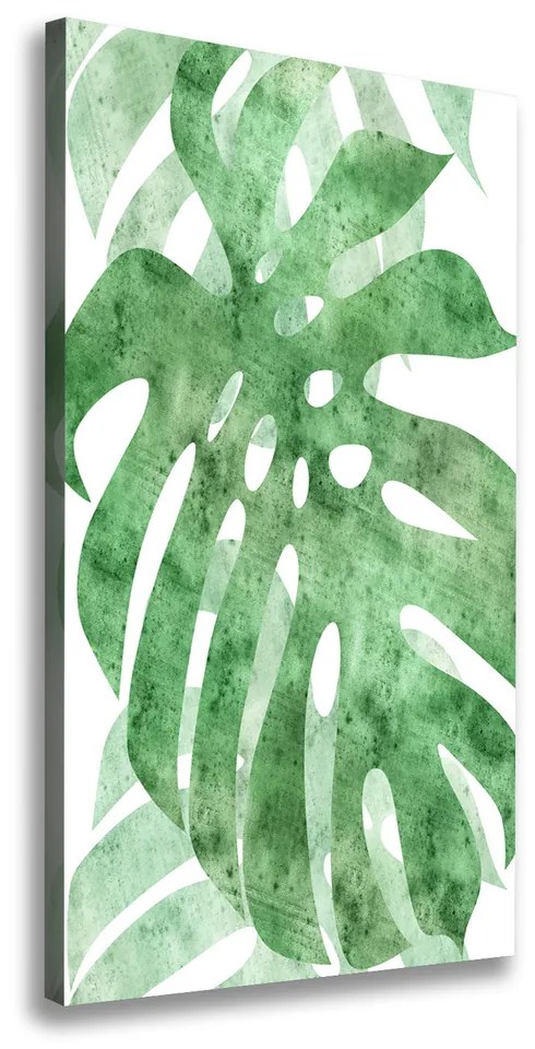 Print pe pânză Monstera