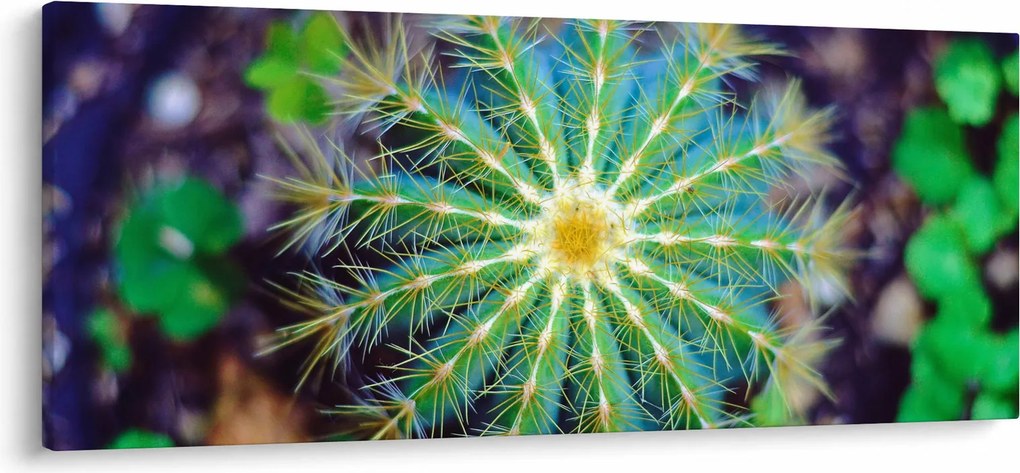 Tablou cu cactus (120x50 cm)