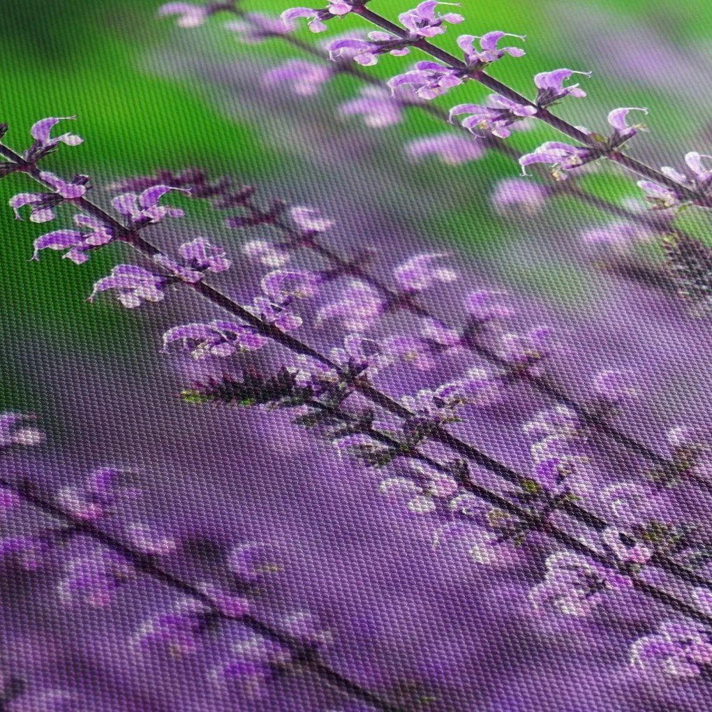 Tablou cu flori de luncă violete (90x60 cm)