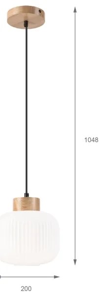 Lustră pe cablu HARMONY 1xE27/15W/230V d. 20 cm alb/stejar