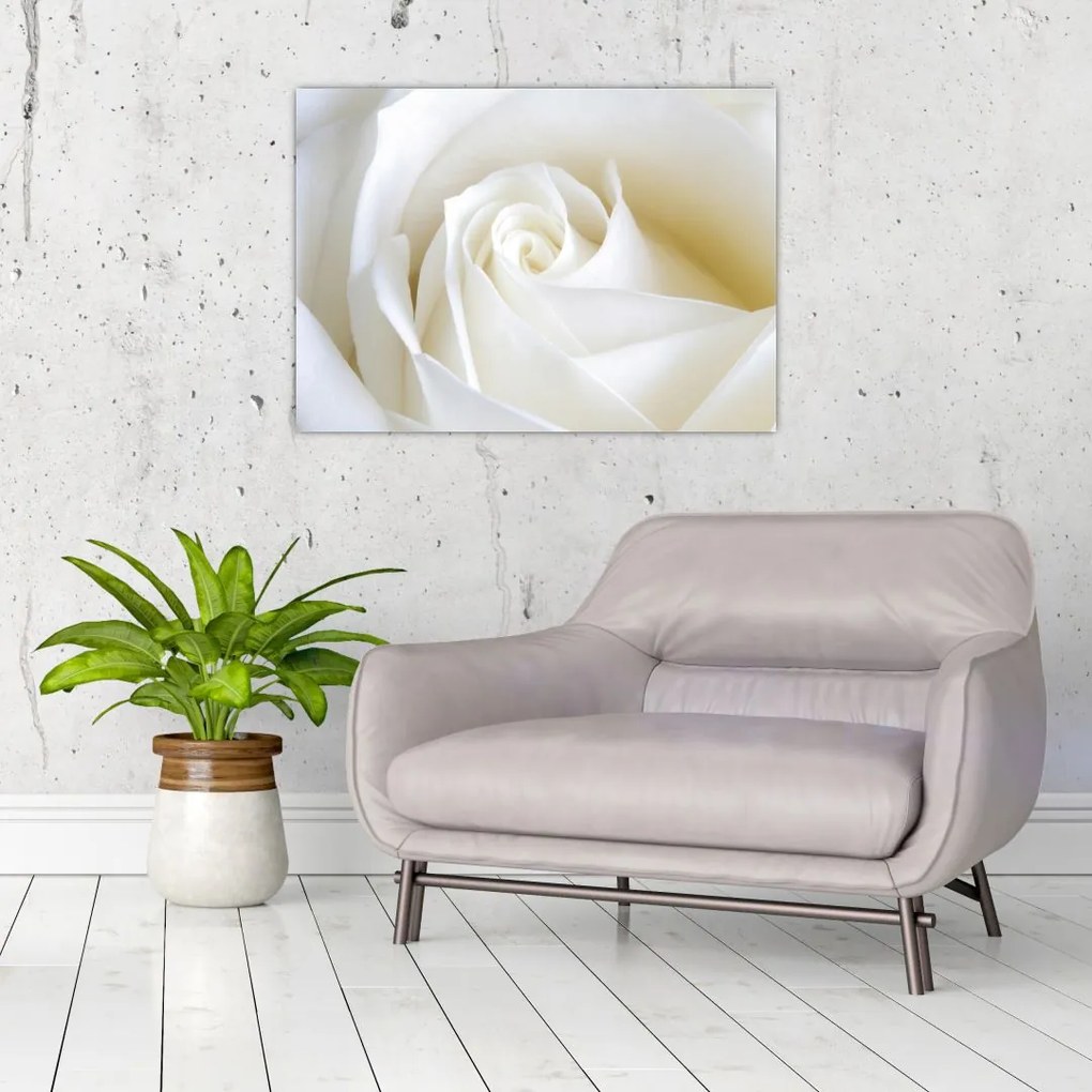 Tablou cu tandafir alb (70x50 cm)