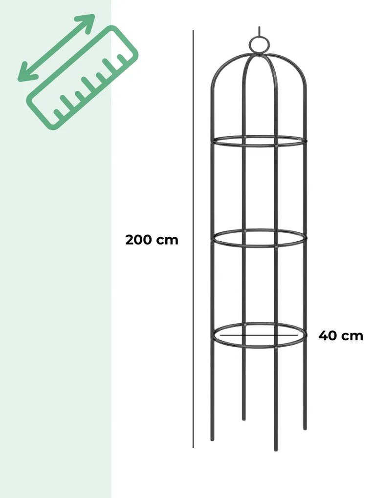 Suport pentru flori cățărătoare 200x40 cm Gardebruk