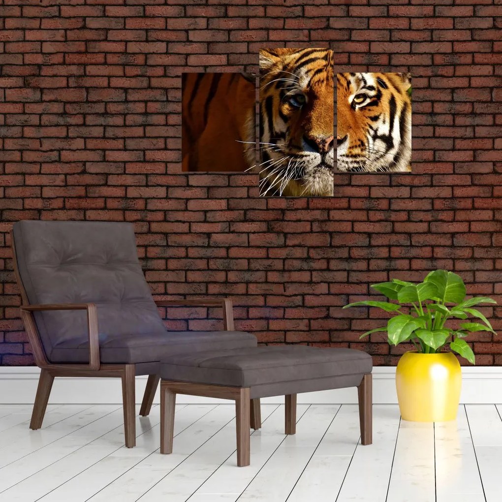 Tablou cu tigrul (90x60 cm)