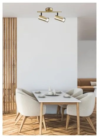 Spot COLLY 2xGU10/15W/230V auriu