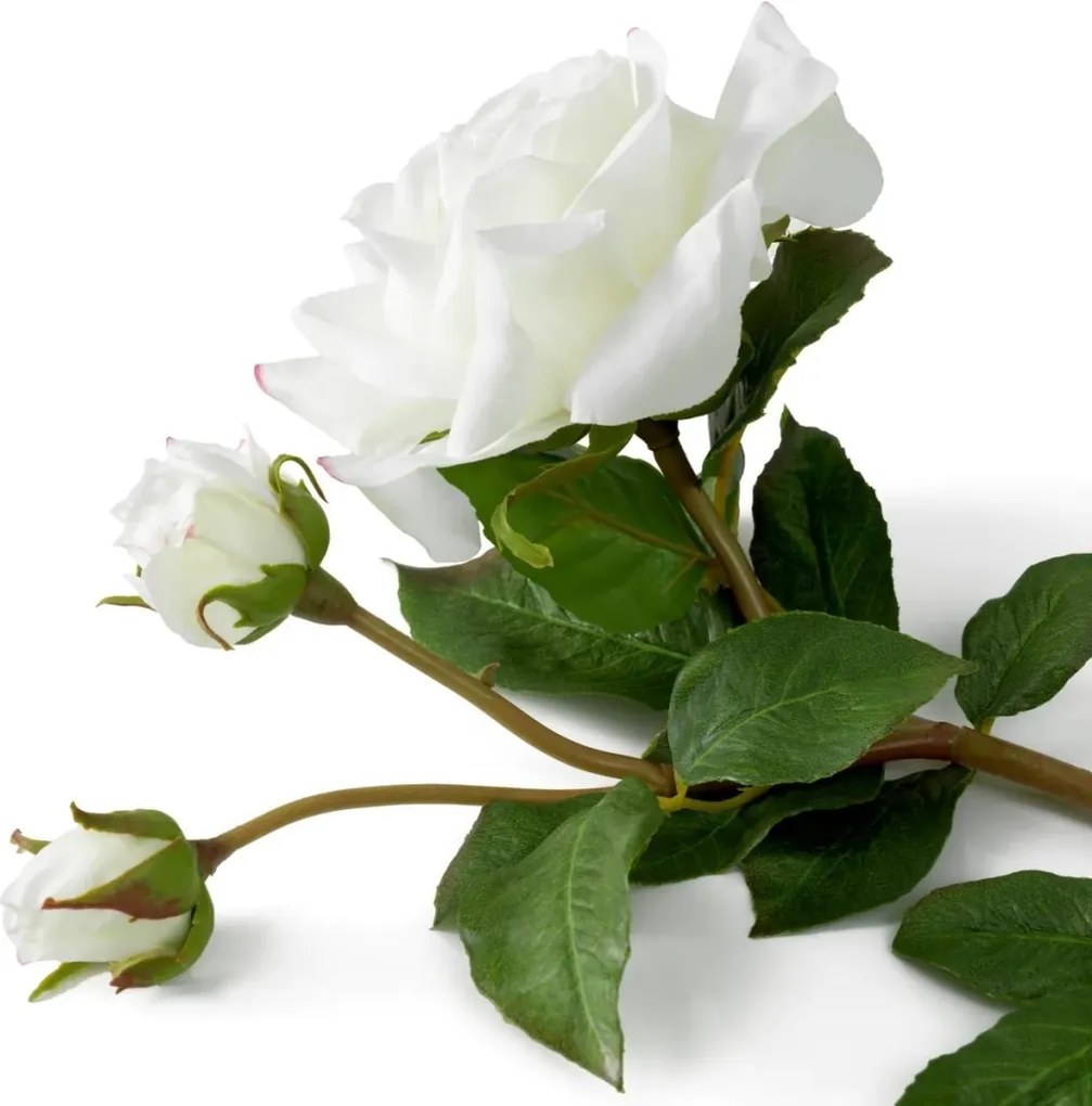 Buchet artificial LUX din 72 de trandafiri albi, Roses