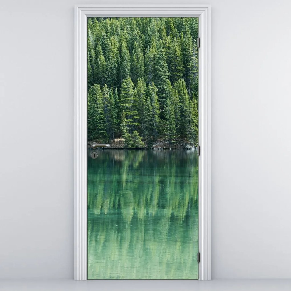 Fototapet pentru ușă - Conifere la malul lacului (95x205cm)