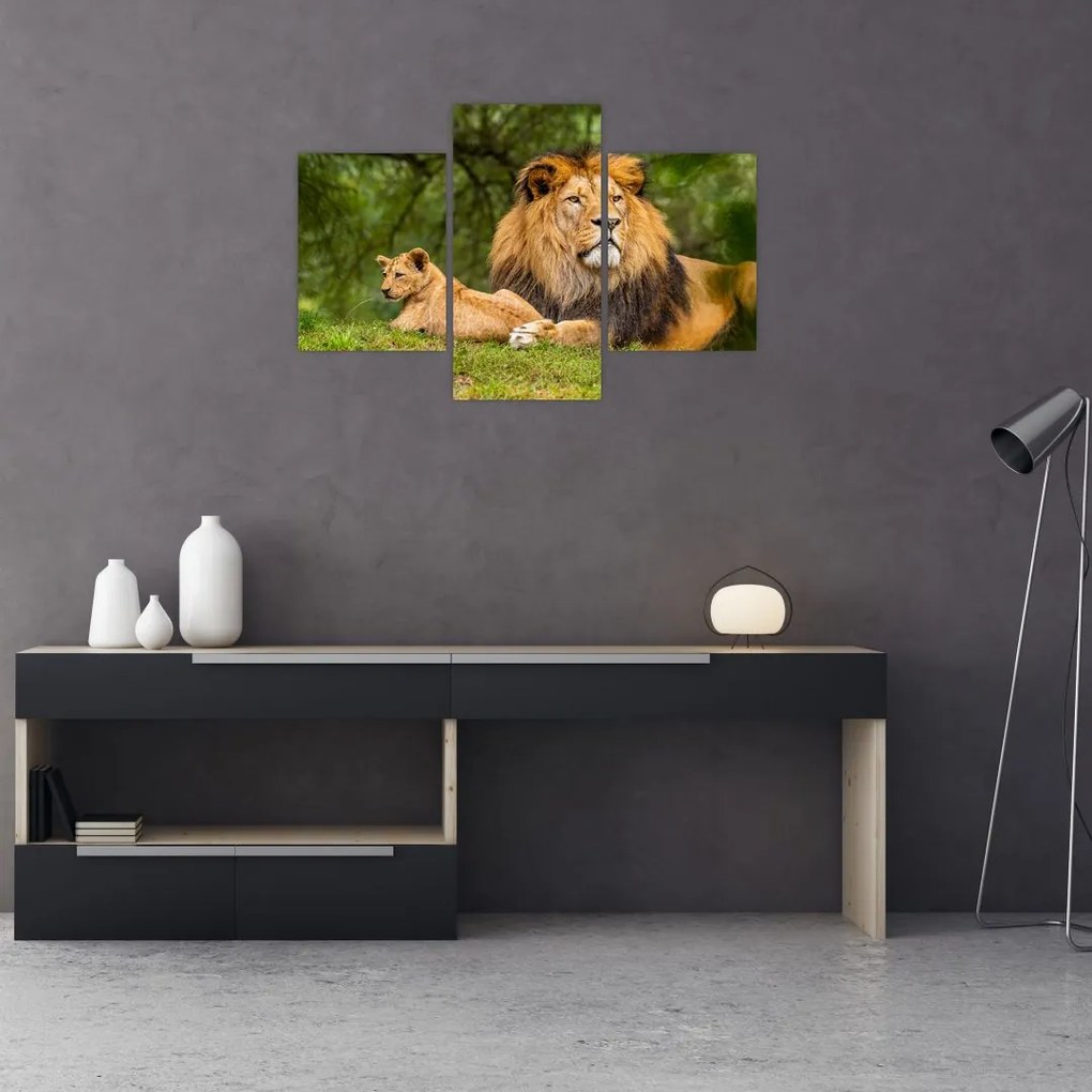 Tablou cu lei (90x60 cm)