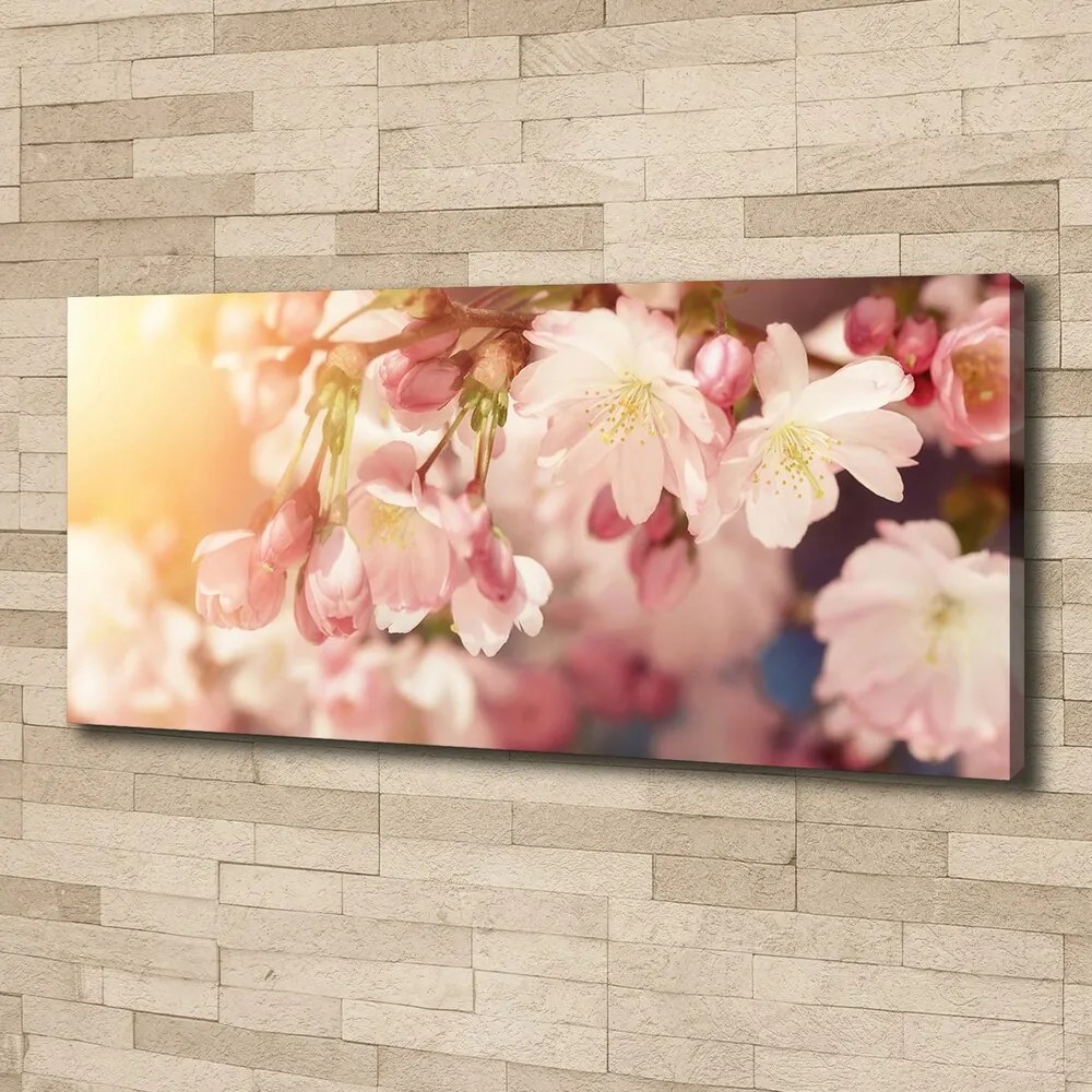 Print pe canvas Flori de cireș
