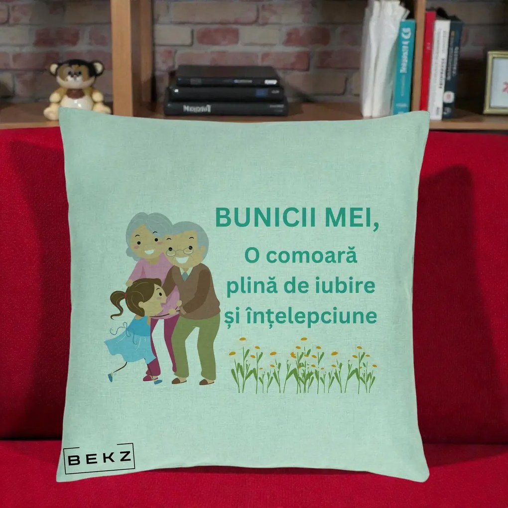 Cadou pentru Bunici - Perna Personalizata Bunicii Mei Comoara Iubire Intelepciune Nepoata, 40x40 cm, Verde Menta, Husa Detasabila, Perna Inclusa, BEKZ®
